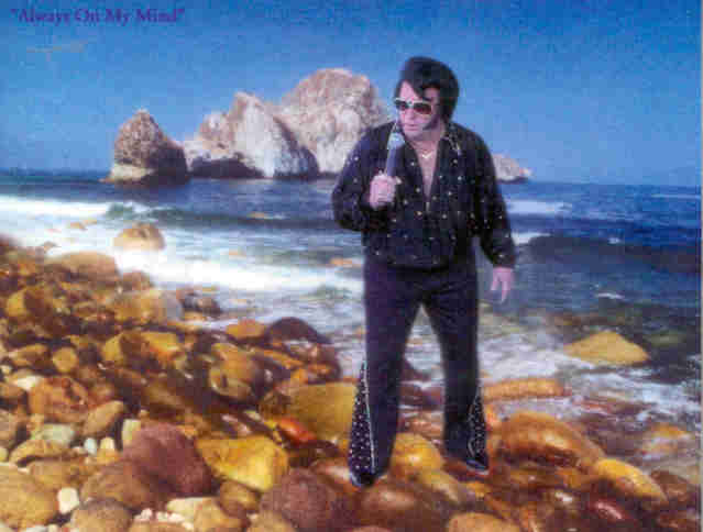 Salvis, Always on My Mind